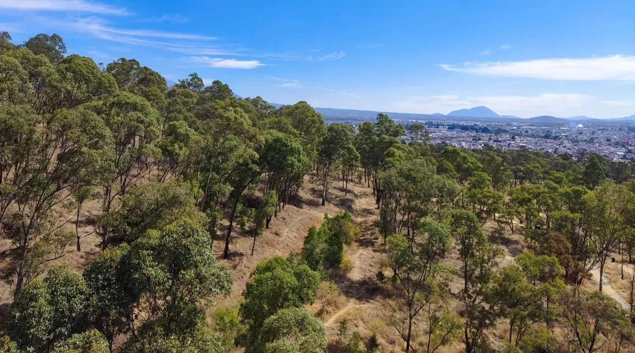 Parque del Cerro de Amalucan