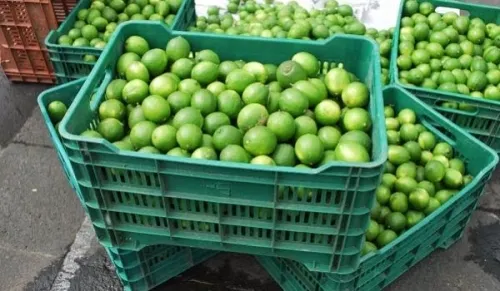 Emite gobierno decreto que prohíbe detención de vehículos que transporten productos del campo