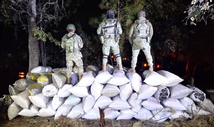 Operación Frontera Norte ha logrado asegurar más de 16 mil kilos de drogas
