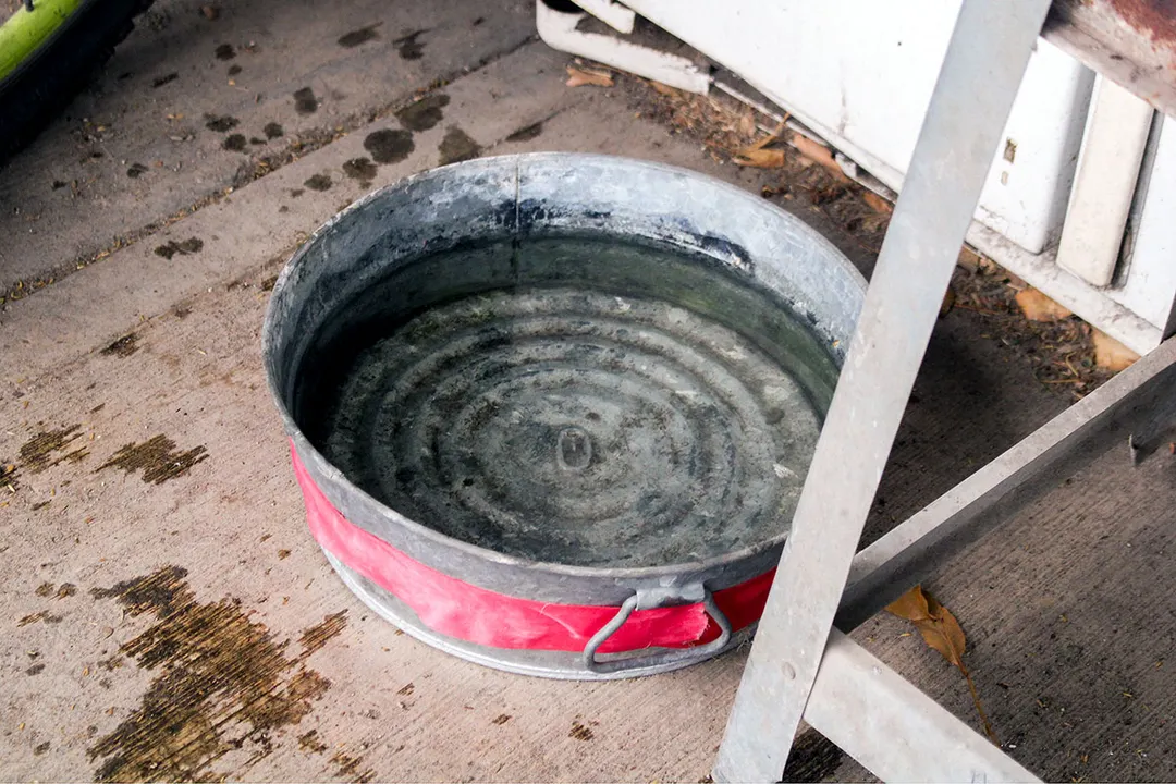 Dengue Acumulacion Agua