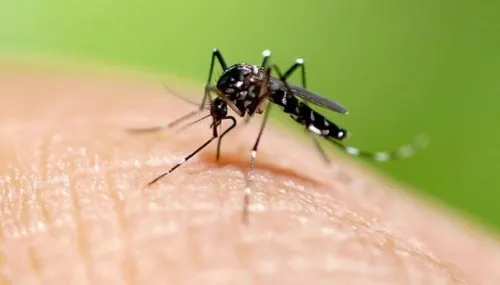 Registra Puebla 329 casos de dengue en lo que va de 2019