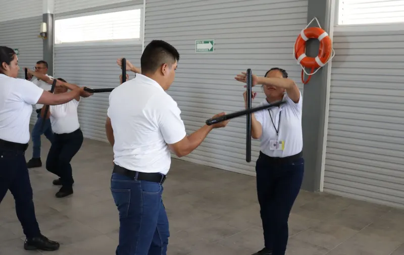 Imagen 5