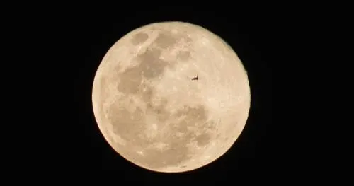 La Luna de Nieve ilumina la noche de millones de personas alrededor del mundo