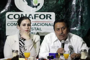Se venderán más de 6 mil árboles en el Ecológico, del Arte y Estrella de Puebla