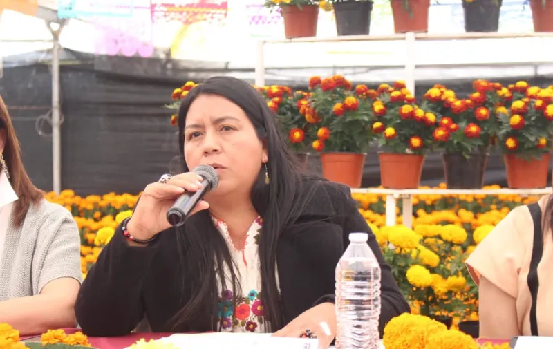Ana Laura Altamirano Pérez