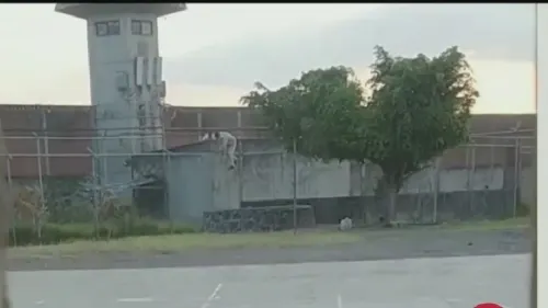 Se fugan reos del Penal de Atlacholoaya en Morelos; hay un muerto