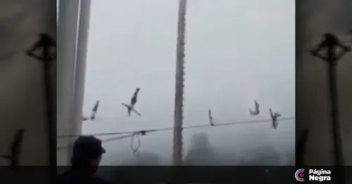 Danzante de Pahuatlán cae de un palo volador de 10 metros de altura