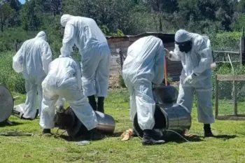 En Tlaxcala: Encuentran laboratorio de drogas clandestino en San Pablo del Monte