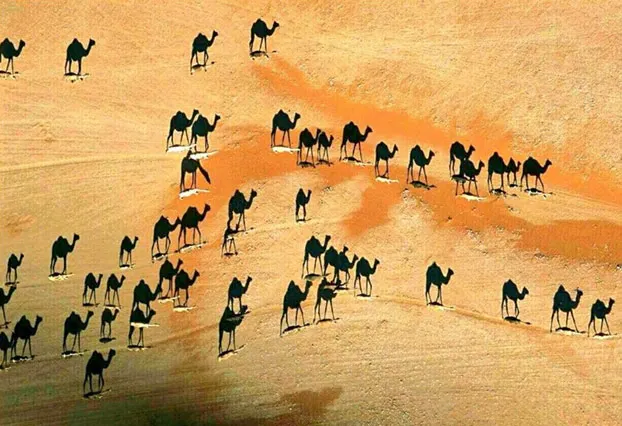 Imagen del artículo