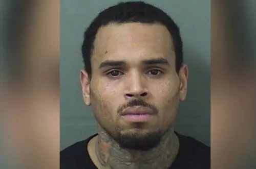 Chris Brown es arrestado en Florida