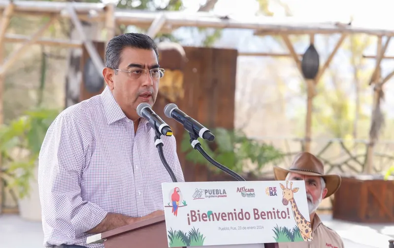 Sergio Salomón Céspedes Peregrina, gobernador del estado de Puebla. Foto: Especial