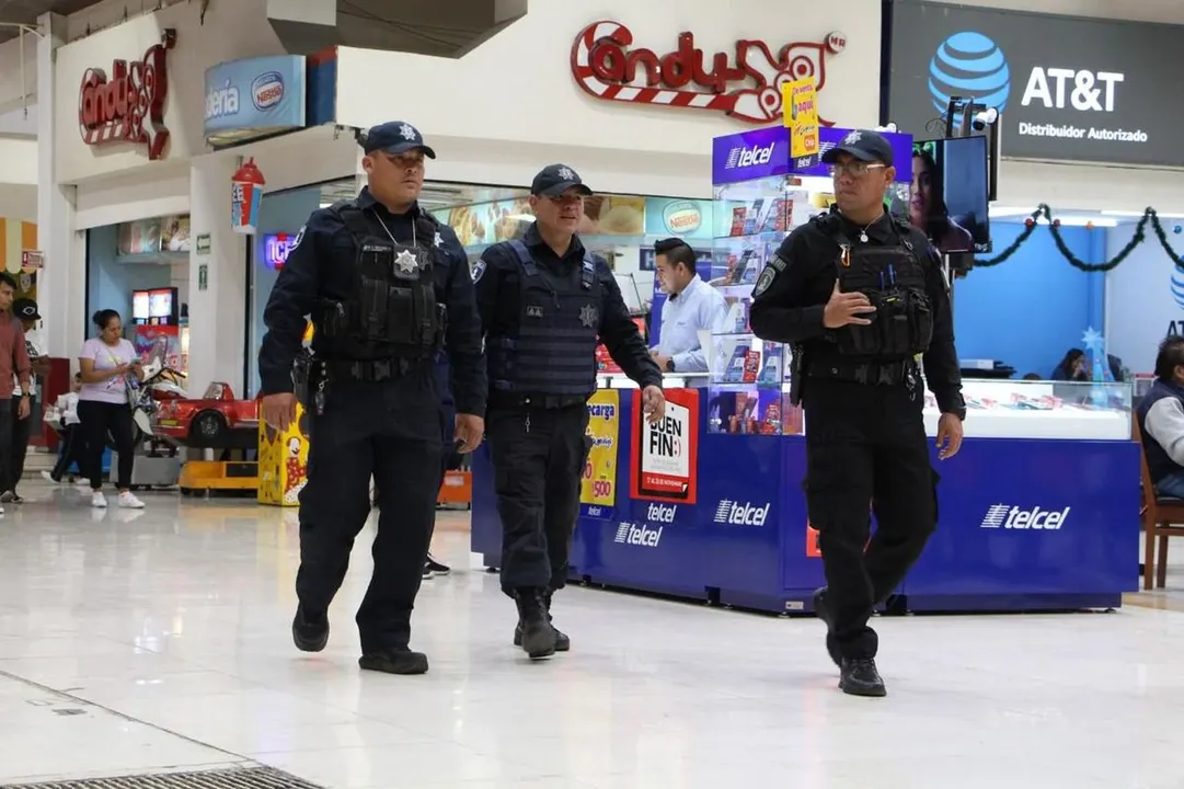 Gob Pue Operativo Especial El Buen Fin