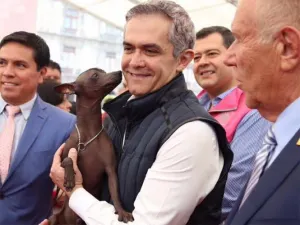 Declaran al perro Xoloitzcuintle patrimonio cultural de la CDMX