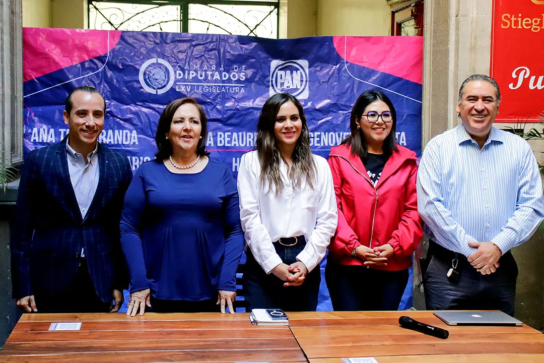 Diputados Federales Pan