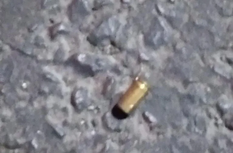 Imagen del artículo