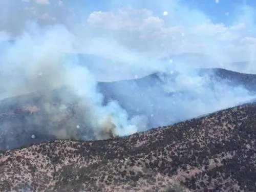 Alertan de posibles incendios forestales,por onda de calor
