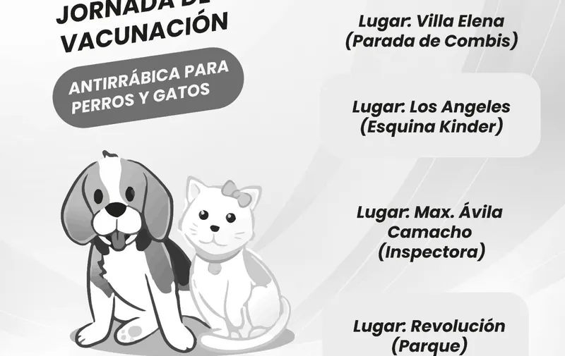Imagen 3