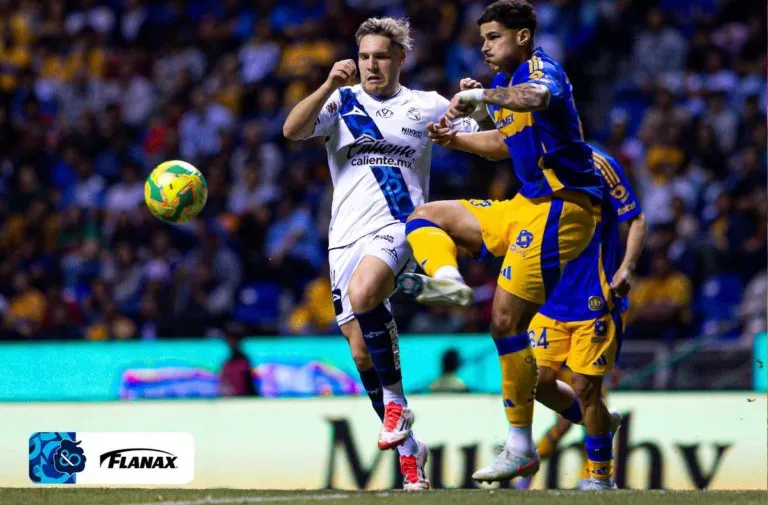 Alquiler, la única vía