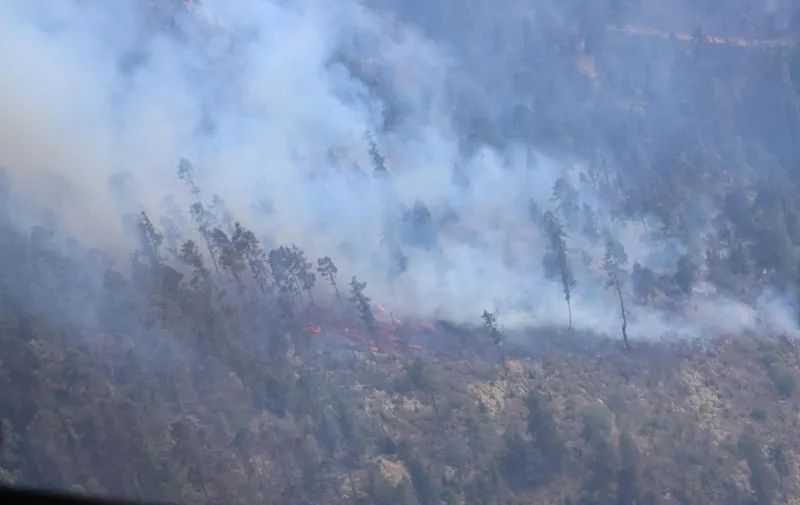 armenta-incendios-forestales