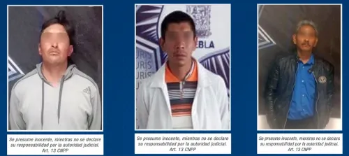 Policía Estatal aseguró a nueve personas por diferentes conductas delictivas