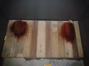 Organización defensora de animales pide a feligreses no usar pirotecnia