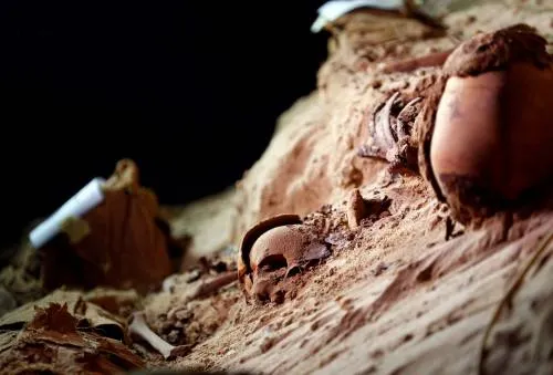Descubren  recinto funerario con al menos 17 momias en Egipto