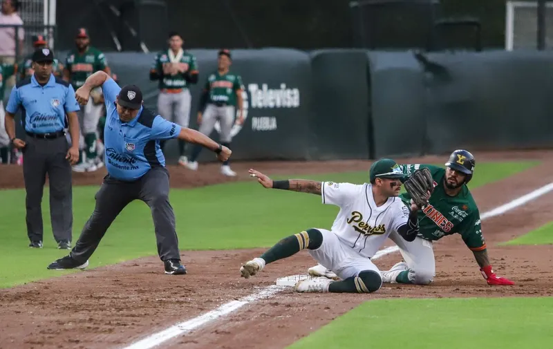 pericos-de-puebla-leones-de-yucatan
