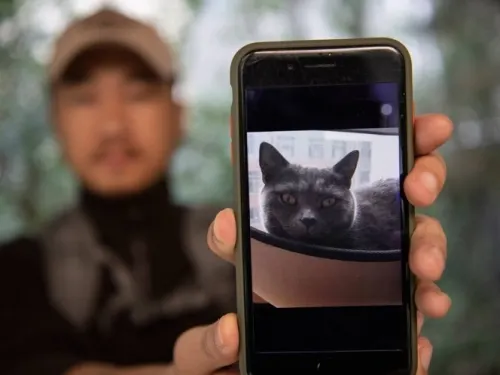 Conoce al detective que busca mascotas desaparecidas