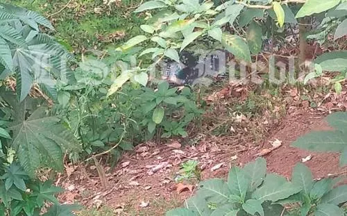 Encuentran cuerpo flotando en aguas negras de Huauchinango