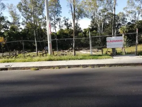 Sdrsot presentó una denuncia penal por violación de sellos de clausura en el vivero de Santa Cruz