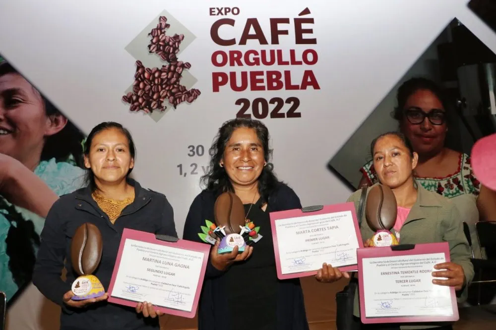 Expo Café