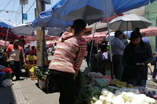 Caen ventas hasta 80 por ciento en el Mercado Hidalgo