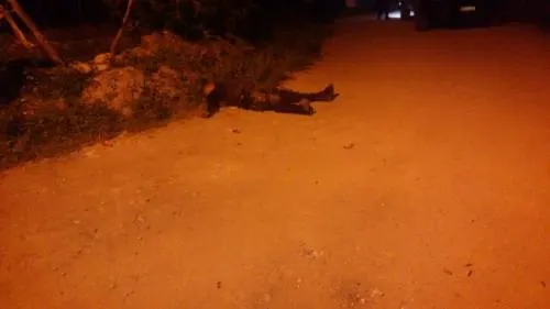 Emboscada de 15 hombres armados, deja como saldo a un comandante y dos policías muertos