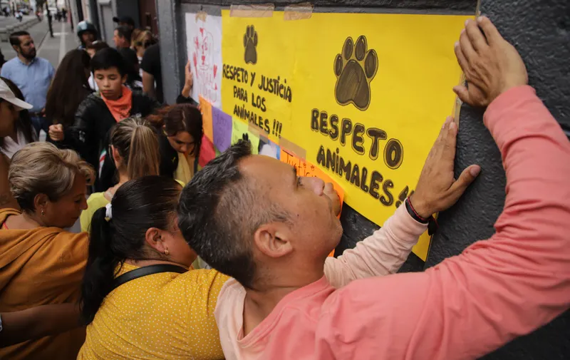 Animalistas