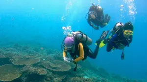 Crean material sintético para respirar en el agua