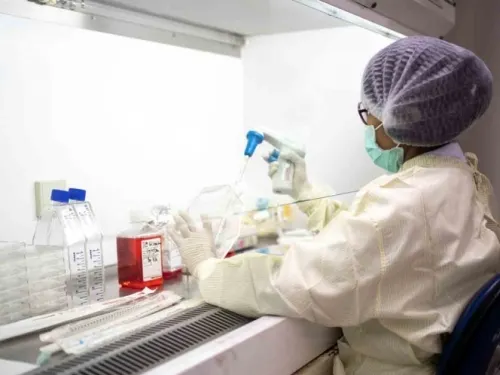 Estudios en monos revelan que sí hay inmunidad tras infección de Covid-19