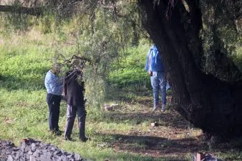 En Cuautlancingo, hallan cuerpo de un hombre colgado de un árbol