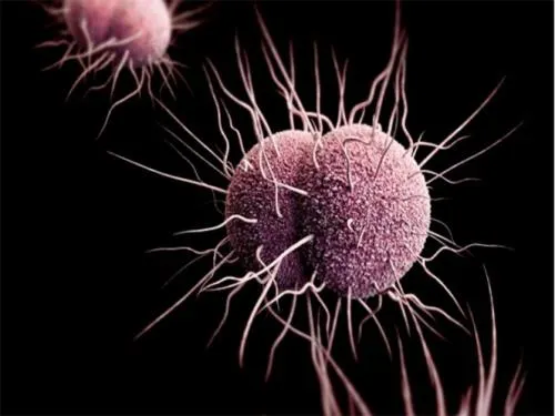 Se registra el primer caso de ‘supergonorrea’