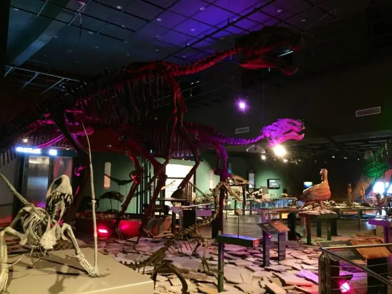 Nuevo Laredo Museo Historia Natural