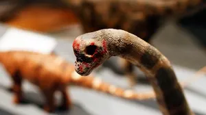Hallan en Venezuela restos de dinosaurio desconocido
