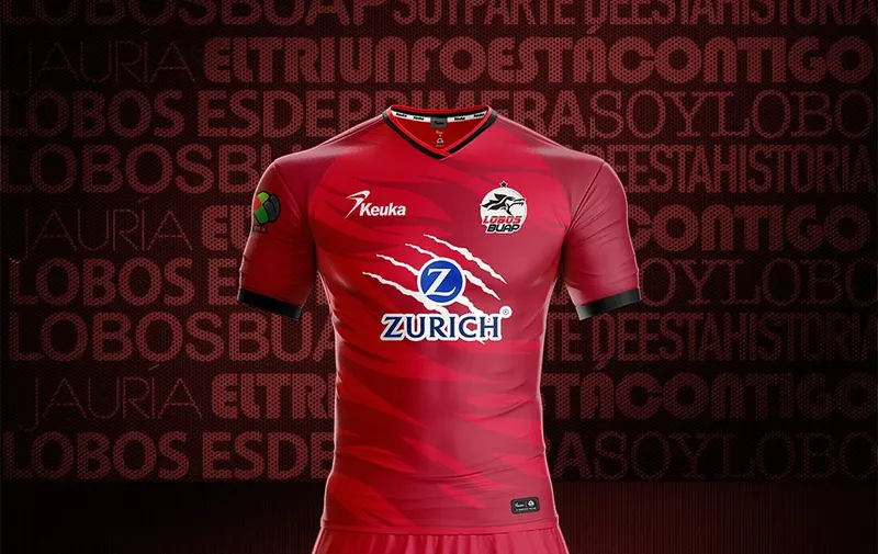 Imagen del artículo