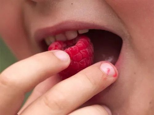 ¿Qué alimentos deben comer los niños para estar saludables?