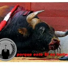 Anonymous, Colombia, arremete contra sitios de tauromaquía