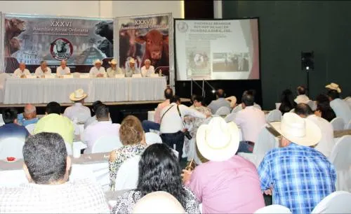 Fomentará la Sagarpa creación de una certificadora de carne 100 por ciento mexicana