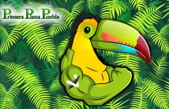 El súper Verde