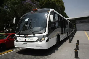 Unos 80 ambulantes de la 11 Norte-Sur serán retirados por inicio de L2 RUTA