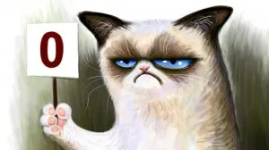 Celebran en redes sociales Día Internacional del Gato