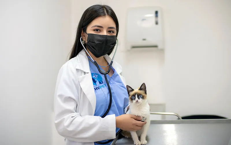 buap-hospital-pequenas-especies-tecamachalco