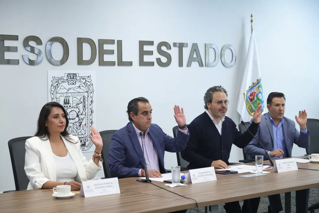 Congreso Pue Comision Derechos Humanos
