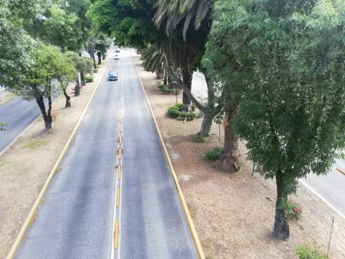 Refuerza SEGOM medidas para promover la sana distancia y el confinamiento voluntario ante COVID-19